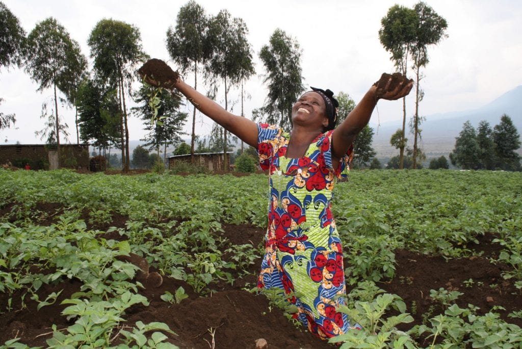 ActionAid Publicatie The Great Land Heist