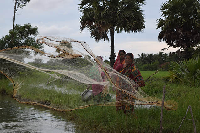 ActionAid zet zich in voor bescherming van mens en milieu in de Sundarbans.