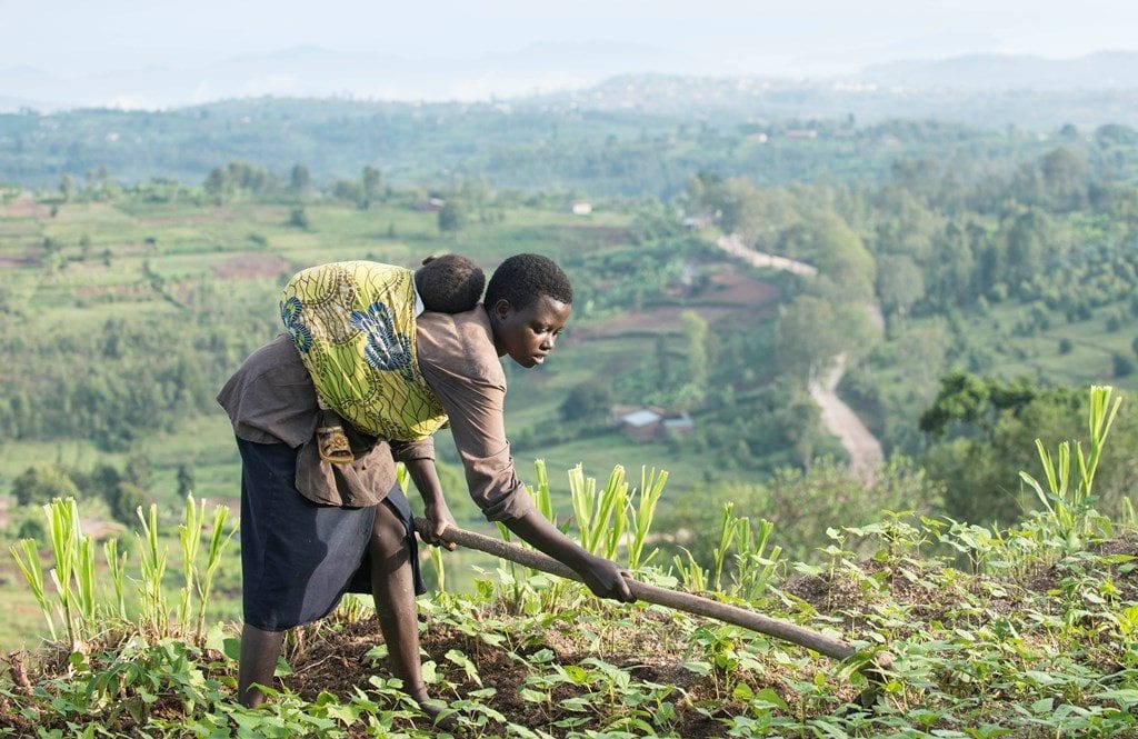 ActionAid geeft boerinnen in Rwanda voorlichting en training. © Crystaline Randazzo/ActionAid