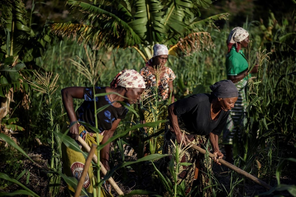 ActionAid steunt wereldwijd boerinnen in hun strijd voor landrechten, zoals hier in Mozambique.
