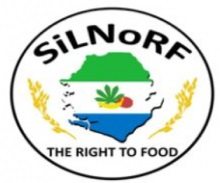 Logo Silnorf