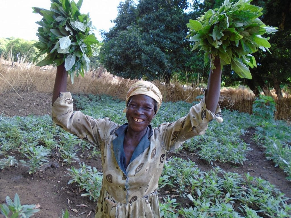 ActionAid helpt boerinnen in Ghana zodat zij duurzame, klimaatbestendige landbouw kunnen beoefenen.
