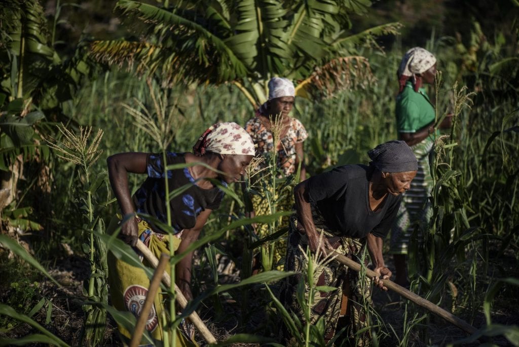 De kracht van participatief actieonderzoek in Mozambique