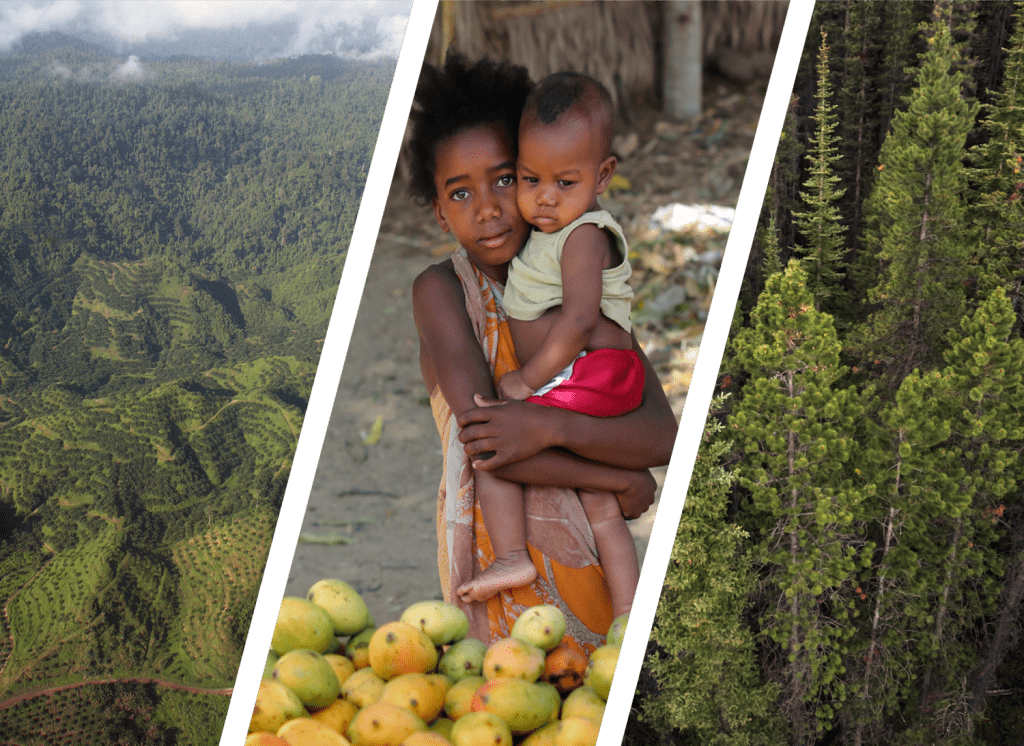 Het rapport "Missing Pathways to 1.5°C: de rol van de landsector bij ambitieuze klimaatactie" biedt een antwoord op het alarmerende klimaatrapport dat vorige week werd gepubliceerd door het IPCC.