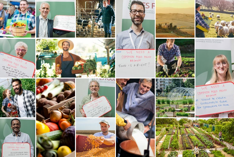 Het Internationaal Panel van deskundigen voor duurzame voedselsystemen (IPES-Food) heeft een nieuw rapport uitgebracht