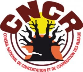 CNCR is een lokale partner van ActionAid in Senegal