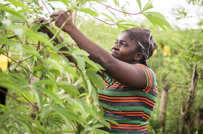 Kpannah (31) uit Liberia startte met behulp van ActionAid een onderneming