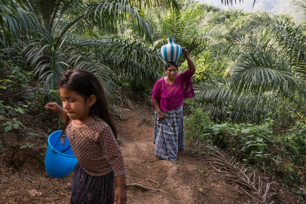 Gemeenschap die wordt omringd door palmolieplantages