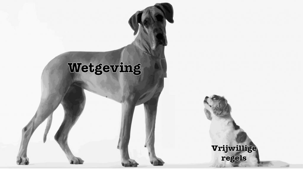 Vrijwillige maatregelen tegen mensenrechtenschendingen zijn onvoldoende. ActionAid pleit voor een waakhond, geen schoothond, om mensenrechten te beschermen.