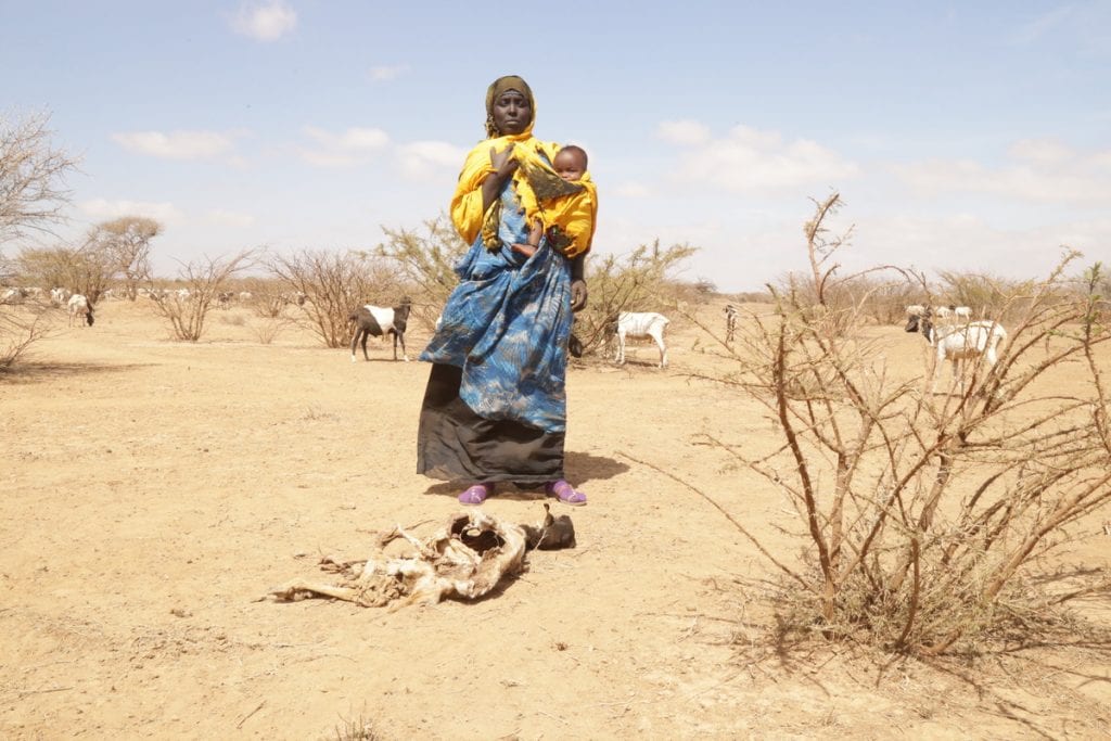 Droogte in Somaliland